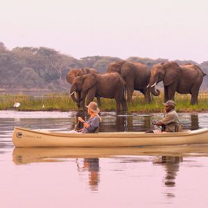 Image post by @chiawasafaris on Instagram