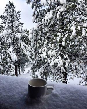 Image post by @nauflagstaff on Instagram