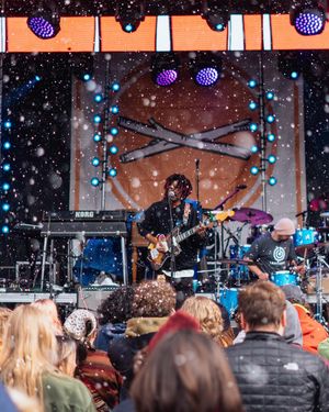 Image post by @treefortfest on Instagram