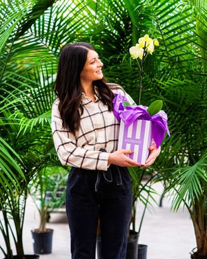 Image post by @shopbachmans on Instagram