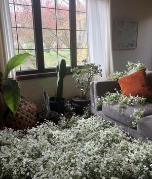 Image post by @loversmondaynyc on Instagram
