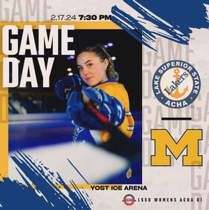 Image post by @lakestatewomenshockey on Instagram