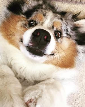 Image post by @bluefuji on Instagram