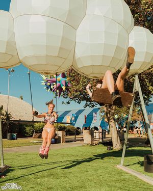 Image post by @beyondwland on Instagram