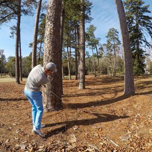 Image post by @bryanbrosgolf on Instagram