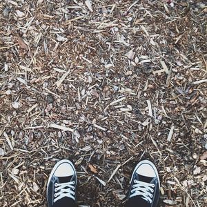 Image post by @glenroy on Instagram