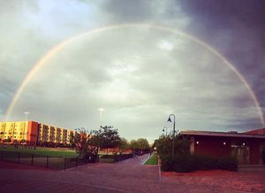 Image post by @gcu_swimdive on Instagram