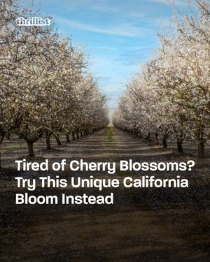 Image post by @thrillist on Instagram