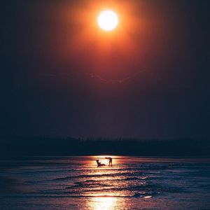 Image post by @JustinPotterPhotography on Facebook
