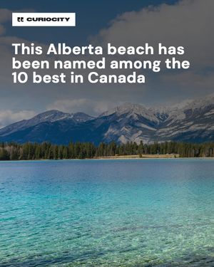 Image post by @curiocitycalgary on Instagram