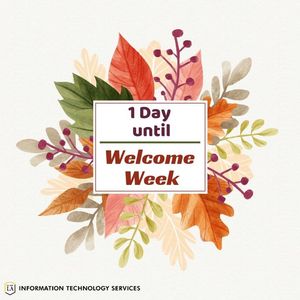 Image post by @mycalstatela on Instagram