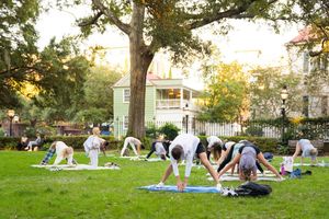 Image post by @collegeofcharleston on Instagram