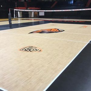 Image post by @beavervball on Instagram