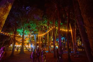 Image post by @okeechobeefest on Instagram