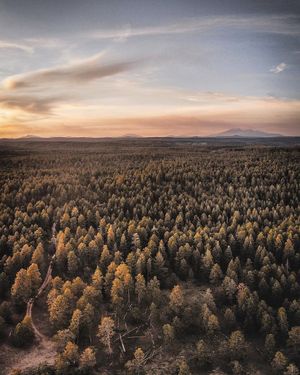Image post by @nauflagstaff on Instagram