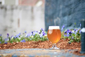 Image post by @navigationbrewingco on Instagram