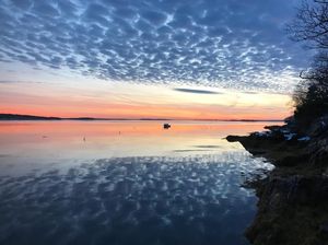 Image post by @themainemag on Instagram