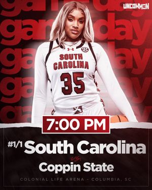 Image post by @gamecockwbb on Instagram