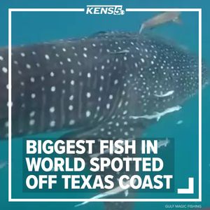 Image post by @kens5 on Instagram