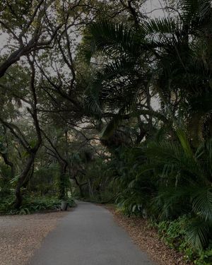 Image post by @newyorkerglow on Instagram