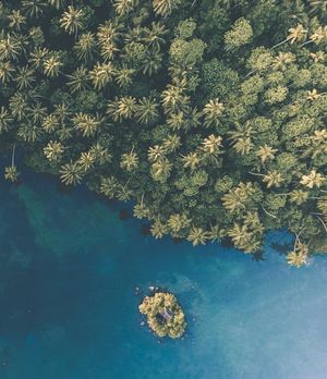 Image post by @dronepals on Instagram