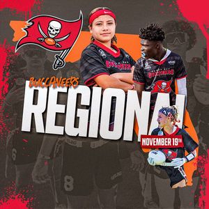Image post by @nflflag on Instagram