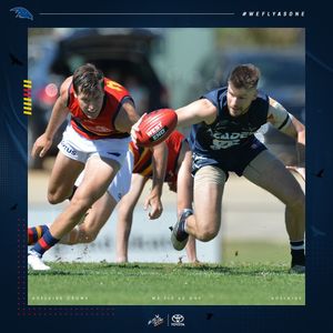 Image post by @adelaide_fc on Instagram