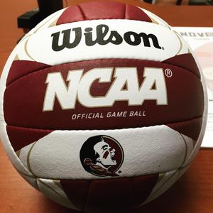 Image post by @fsubeachvolleyball on Instagram