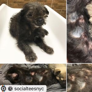 Image post by @nikkiglaser on Instagram