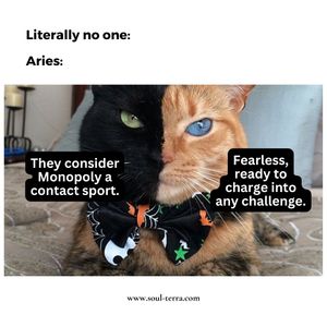 Image post by @soulterra on Instagram