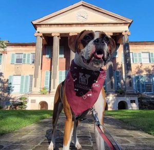 Image post by @collegeofcharleston on Instagram