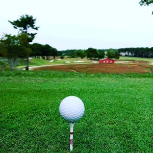 Image post by @evolvegolf on Instagram