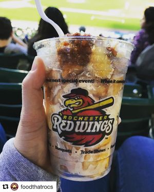 Image post by @rocredwings on Instagram