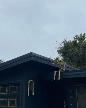 Image post by @saraheffress on Instagram