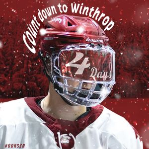 Image post by @wsu_hockey_ on Instagram