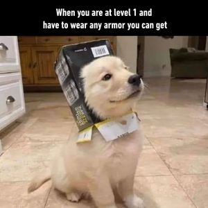 Image post by @9gag on Instagram