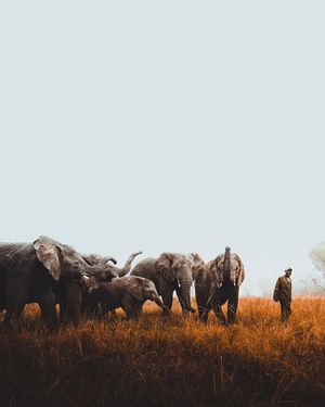 Image post by @discovery on Instagram