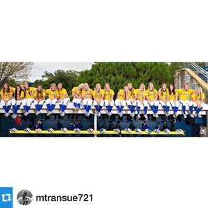 Image post by @hofstrasoftball on Instagram