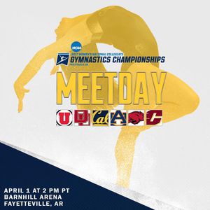 Image post by @calwgym on Instagram