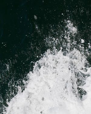 Image post by @themainemag on Instagram