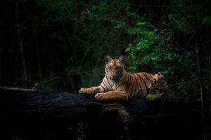 Image post by @discovery on Instagram