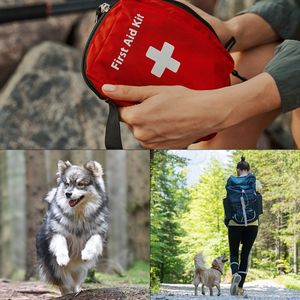 Image post by @triumphpetfood on Instagram
