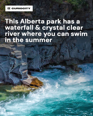 Image post by @curiocitycalgary on Instagram