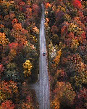 Image post by @aaron.k.baker on Instagram