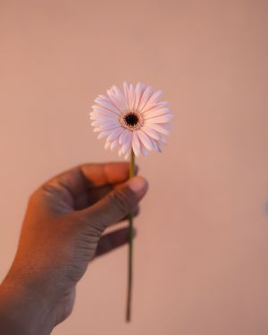 Image post by @vsco on Instagram