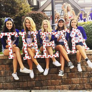 Image post by @wsu_theta on Instagram