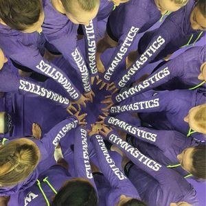 Image post by @uwgymnastics on Instagram