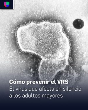 Image post by @univision23 on Instagram