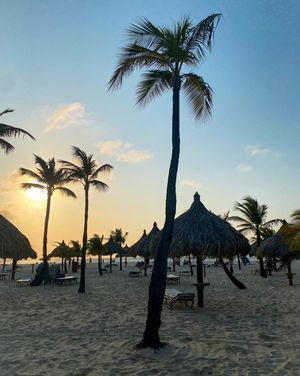 Image post by @kinikinitours on Instagram