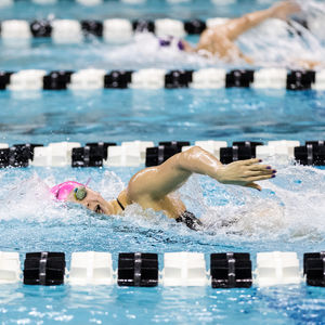 Image post by @purduewswimdive on Instagram